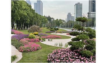 來(lái)現(xiàn)場(chǎng)打卡，感受“美麗無(wú)錫”的美好